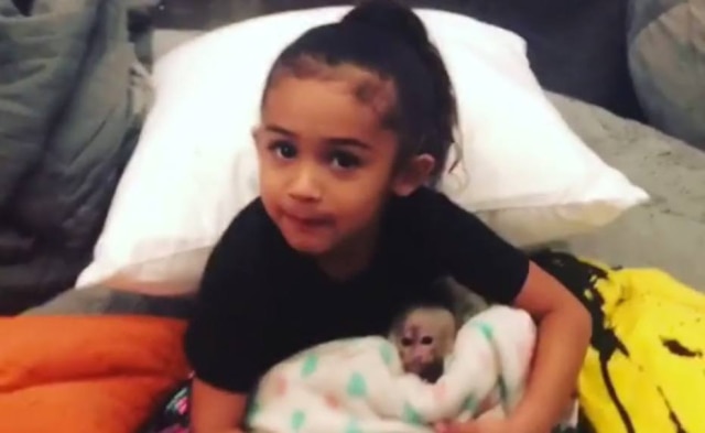 Instagram / @chrisbrownofficial Filha do cantor Chris Brown e filhote de macaquinha