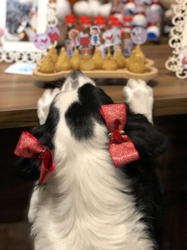 Cedida por Buffet Badalacão A coxinha, salgadinho tradicional em festas infantis, também têm sua versão canina