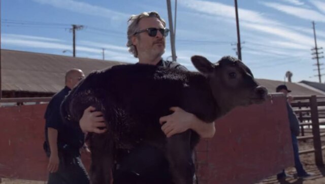 Reprodução / @farmsanctuary O ator Joaquin Phoenix durante ação de resgate de animais