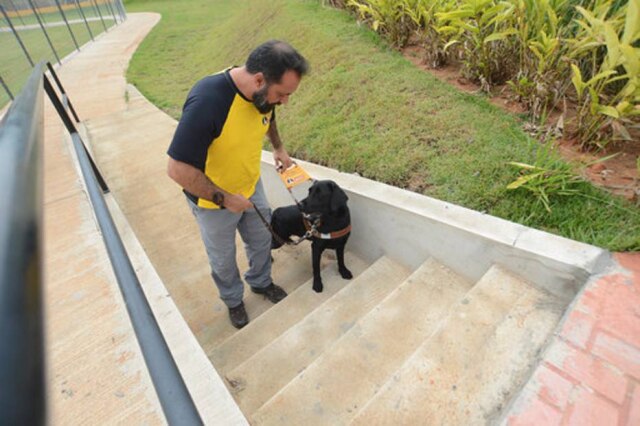 Erick Pinheiro / Instituto Magnus / Divulgação Treinamento busca acostumar o cão-guia a atividades ligadas ao dia a dia de qualquer pessoa