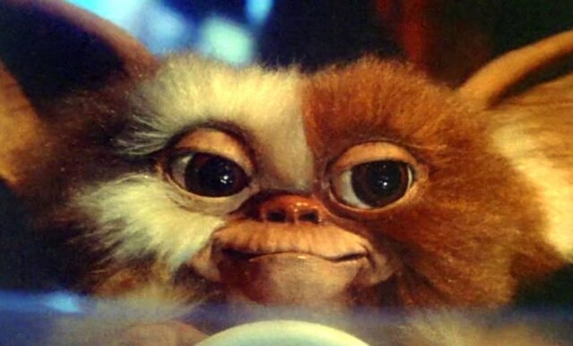 Divulgação Gremlins