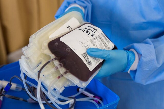 Pixabay Após pandemia de novo coronavírus, bancos de sangue de São Paulo chegaram a déficit de 50%.