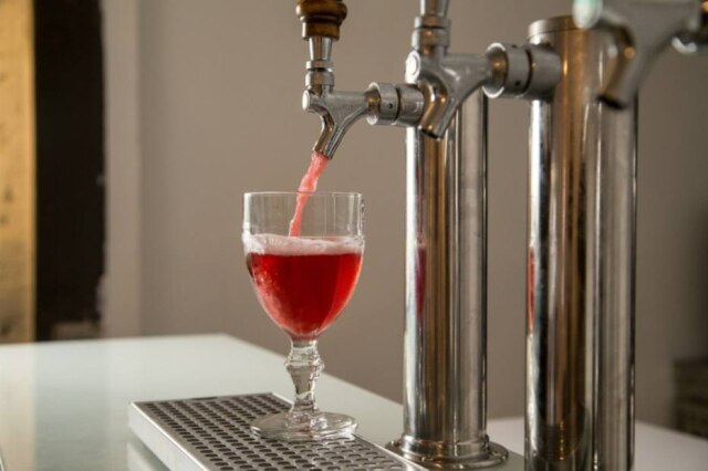 Amanda Perobelli|Estadão On tap. Kombucha de hibisco direto da torneira