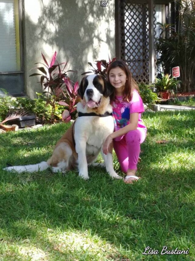 Imagem cedida por Lisa Bustani Gabby Bustani e Hannah, sua nova melhor amiga de quatro patas.