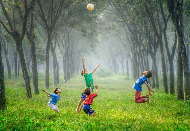 Instagram/@unsplash Festival Ohana - Conectando humanos, animais e natureza ocorre no Parque Villa-Lobos, em São Paulo.
