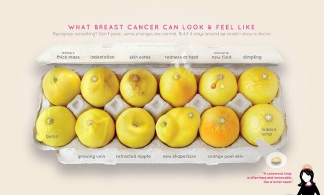 Reprodução/Facebook KnowYourLemons Limões ilustram sintomas do câncer de mama