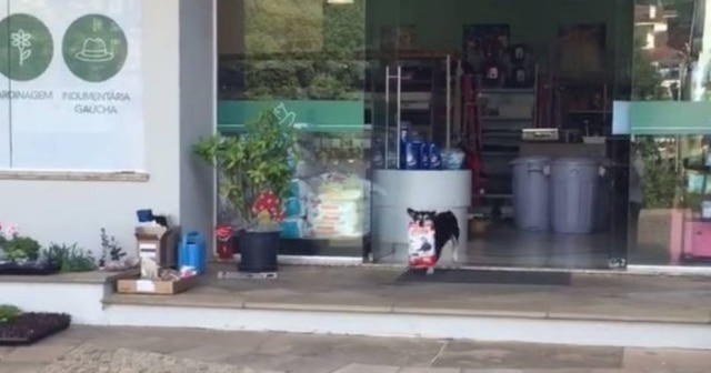 Facebook/ Pet Paraí Pituco sai da loja de produtos para animais carregando sua própria ração