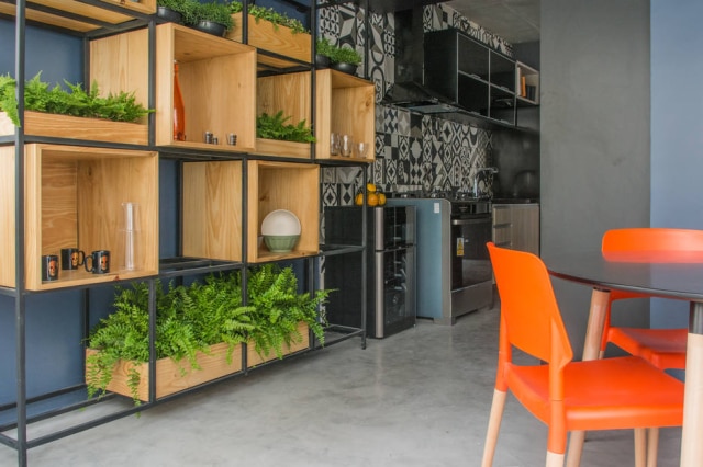 Julia Herman Paulistinha e Crespa, variações da samambaia, são plantas que se adaptam bem a pouca incidência de sol e foram aplicadas neste apartamento planejado pela TWODesign; à direita, detalhe da estante que abriga as espécies