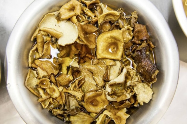 Rubens Kato|Divulgação Mix com mais de dez espécies de cogumelos, que fazem parte da dieta dos índios Sanöma