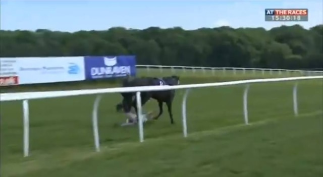 Twitter/@AtTheRaces Uma repórter inglesa parou sozinha um cavalo que estava correndo sem rumo a cerca de 56 km/h