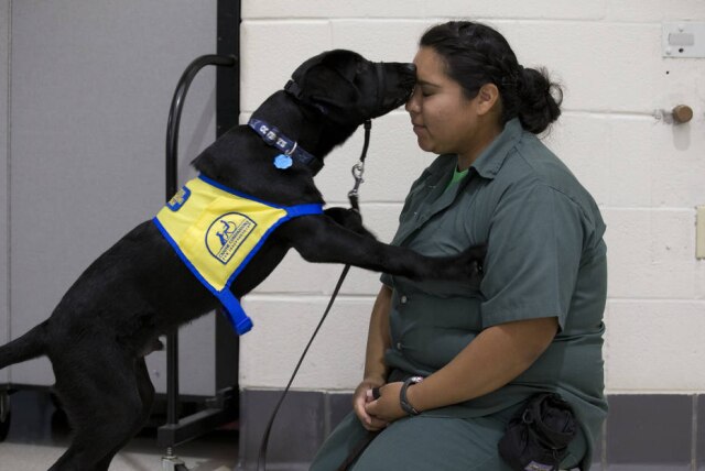 Joyce Marshall/Star Telegram via AP Detentas treinam filhotes para serem 'cachorros de serviço'.