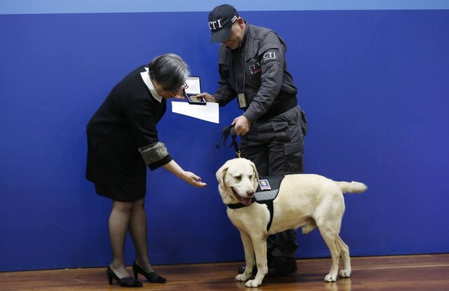 Fernando Vergara/AP Yaco, guiado por seu treinador Pedro Camargo, recebe um certificado e uma medalha das mãos da Procuradora-Geral Adjunta Maria Paulina Riveros por seus anos de trabalho.