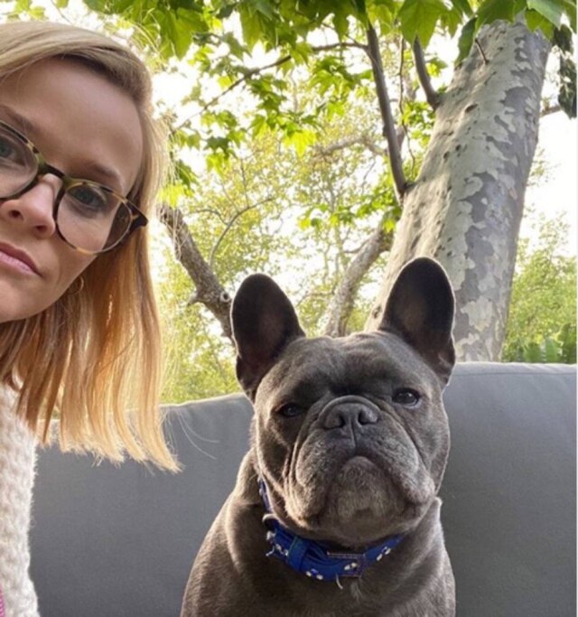 Instagram / @reesewitherspoon Reese Witherspoon junto com Pepper, que morreu devido a um câncer