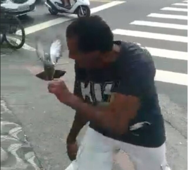 facebook.com/fabianosb Pomba persegue homem em Santos, no litoral paulista.