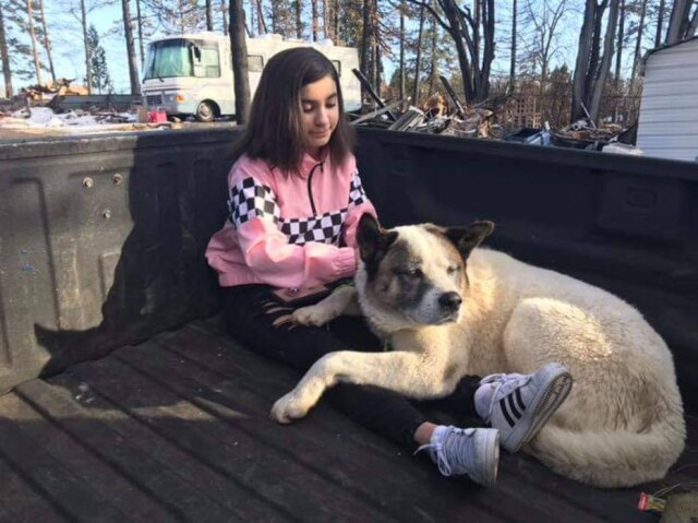 Ben Lepe via AP Maleah Ballejos com o cão Kingston, de 12 anos; cachorro havia desaparecido durante incêndio na Califórnia.