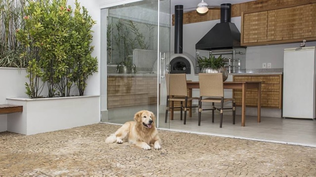 Zeca Wittner/Estadão O piso de mosaico português permite maior atrito com as patas do cachorro, evitando quedas e lesões