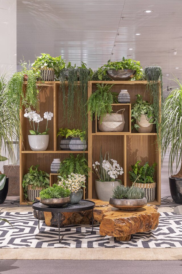 Rafael Renzo Ambiente da mostra D&D Garden Design