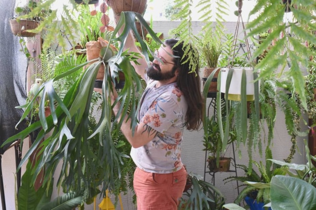 Breno dos Reis O botânico durante os cuidados diários que dedica a suas plantas