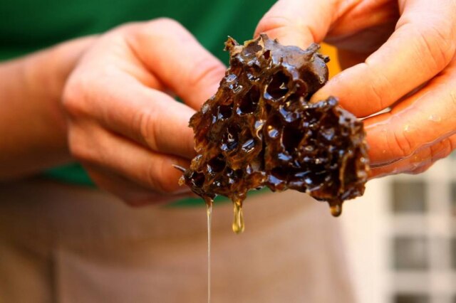Hélvio Romero|Estadão Nativo. O mel é ingrediente para o uso sustentável do capital natural