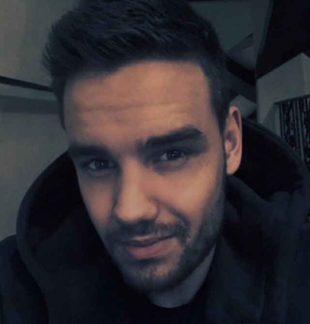 Reprodução/Instagram @liampayne