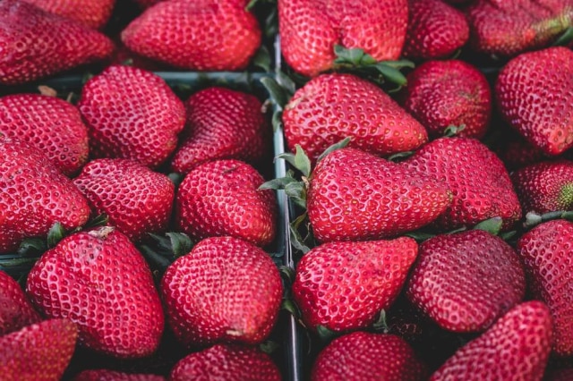 Reprodução/Pixabay Morango é uma das frutas que mais contém agrotóxicos, junto com o tomate.