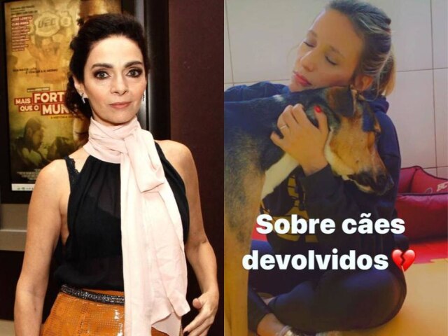 Silvana Garzaro/ Estadão | Reprodução Instagram/ @luisamell Claudia Ohana é criticada por Luisa Mell