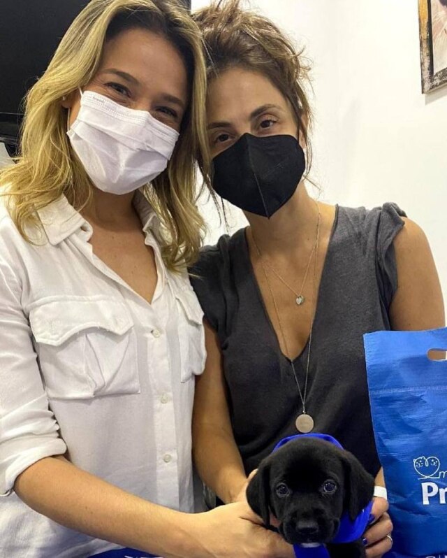 Instagram / @gentilfernanda Fernanda Gentil e Priscila Montandon adotam cachorrinha.