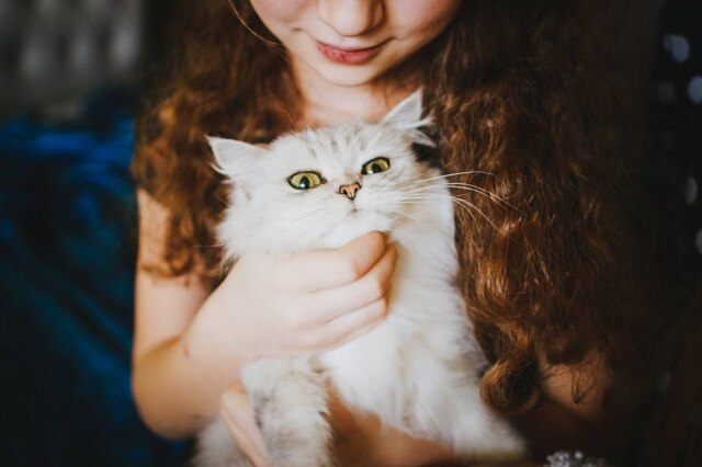 Pixabay / @Free-photos Angel cresceu ao lado de sua dona, Charley