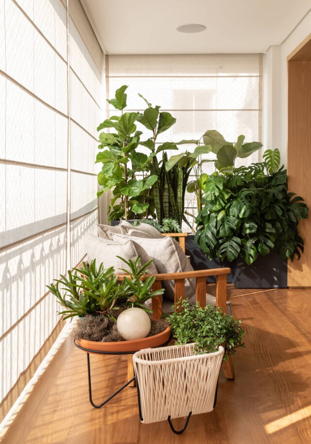 Evelyn Muller Cortina translúcida protege plantas da incidência direta de luz solar no projeto da Très Arquitetura