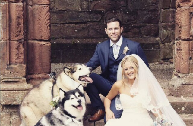 Instagram/@lifewithmalamutes Cerimônia com pets ocorreu em Cumbria, na Inglaterra