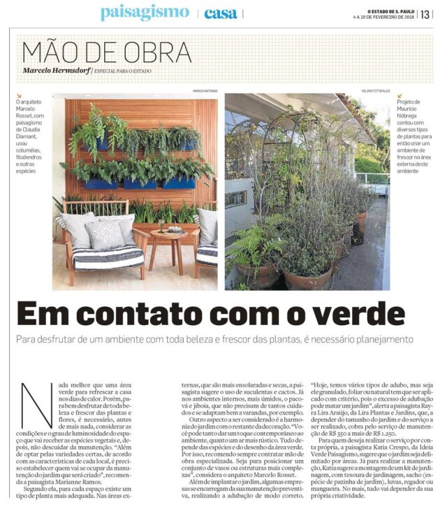 Reprodução Para desfrutar de um ambiente com toda beleza e frescor das plantas, é necessário planejamento. Saiba como