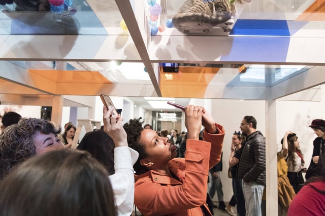 Loren Wohl for Fresh Step/AP Images Visitante tira foto de fato na feira Cats on Glass Gallery.