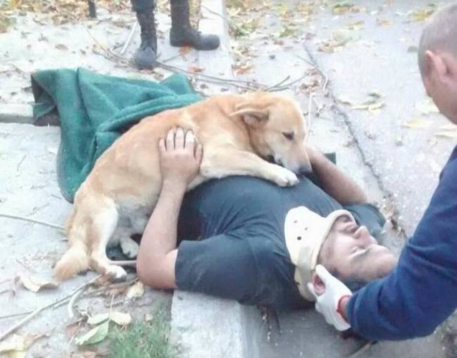 Facebook/Def-Civil-B-Blanca-1538737253102204 Cão ficou agarrado ao dono até atendimento médico terminar