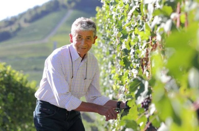 Premium Wines|Divulgação