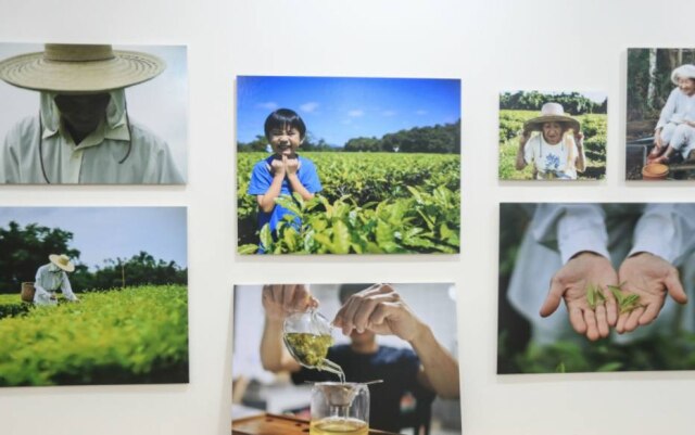 Gabriela Biló|Estadão Fotos da produção do chá, expostas na casa