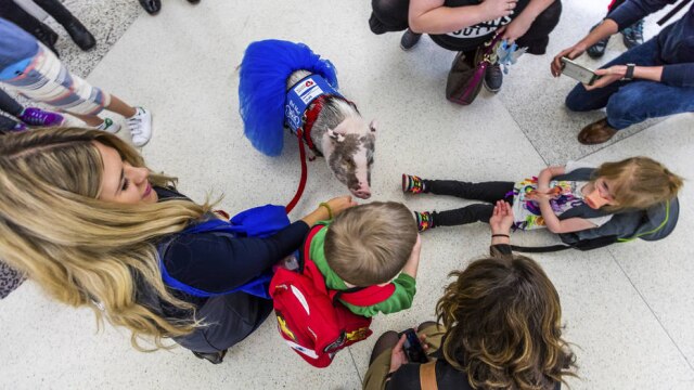 San Francisco International Airport via AP