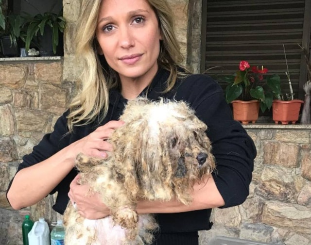 Instagram/@Luisamell Luisa Mell com um dos cachorros resgatados em canil de Osasco.