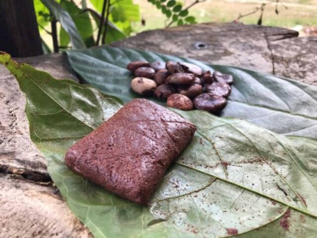 Divulgação Uma nova forma de chocolate, feita de cupuaçu, se tornou uma renda extra para comunidade da Amazônia