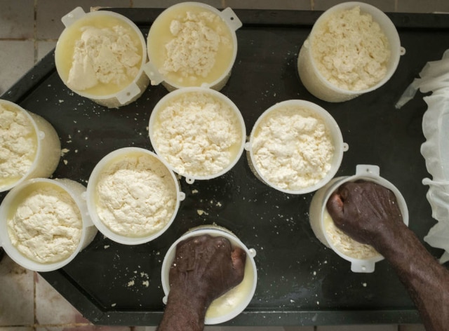 Daniel Teixeira/Estadão Modo Tradicional de Fazer Queijo de Minas está entre os patrimônios culturais brasileiros registrados pelo Iphan