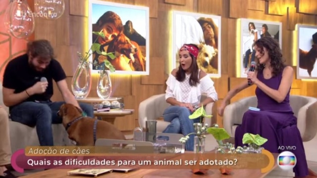 Reprodução de 'Encontro com Fátima Bernardes' (2018) / Globo Rafael Vitti percebe que seu cãozinho, Nino, estava urinando ao vivo no 'Encontro'.