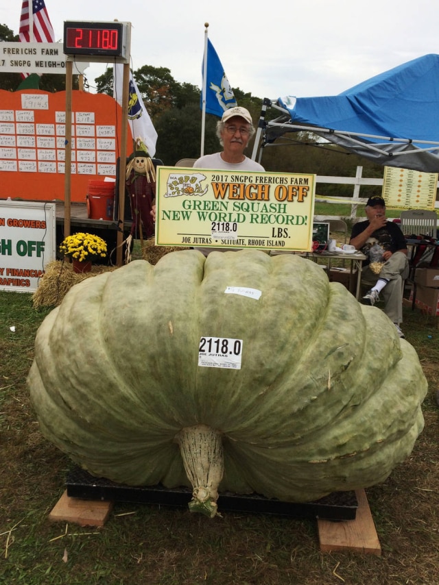 Susan Jutras para AP Joe Jutras e sua abóbora gigante, de mais de 960 quilos.