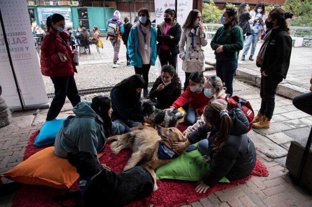 Martin BERNETTI / AFP No primeiro mês de retorno às aulas, os casos de abuso físico e emocional entre os alunos aumentaram 22% em relação aos níveis pré-pandemia, segundo a Superintendência de Educação.
