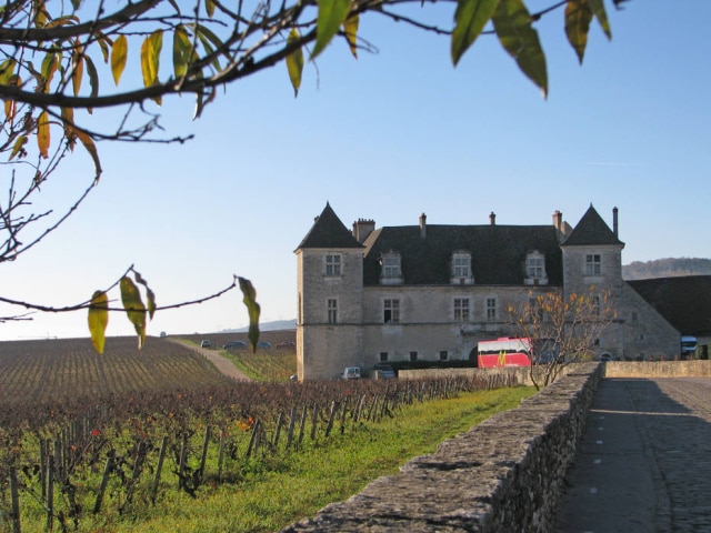 Chateu do cultuado Clos de Vougeot, com seus 55 hectares de vinhedos é dividido por mais de 80 proprietários