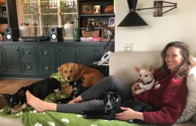 Instagram/ @hilaryswank Hilary Swank posa com seus animais de estimação. A estrela de cinema com histórico de resgate de cães encontrou o dachshund Blue, que havia desaparecido em Nova York.