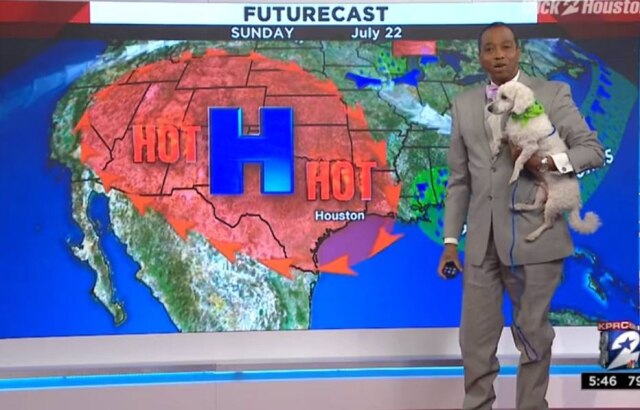 Facebook/KPRC2 Cachorro 'invadiu' transmissão ao vivo de jornal americano e meteorologista fez a previsão do tempo com o cão no colo.