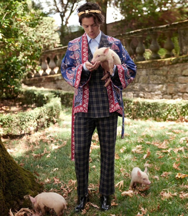 Glen Luchford/Gucci Harry Styles posa com filhotes de cabra e porquinhos na campanha