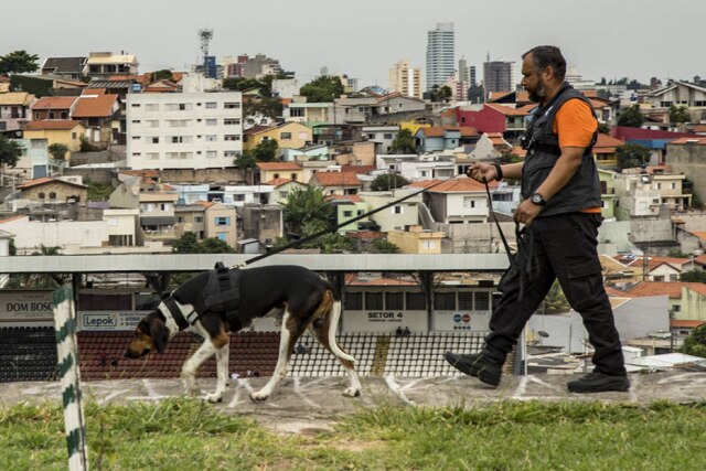 BuscaPet Barão é um cão farejador que busca animais desaparecidos em zonas urbanas e rurais com seu treinador Jorge Pereira.