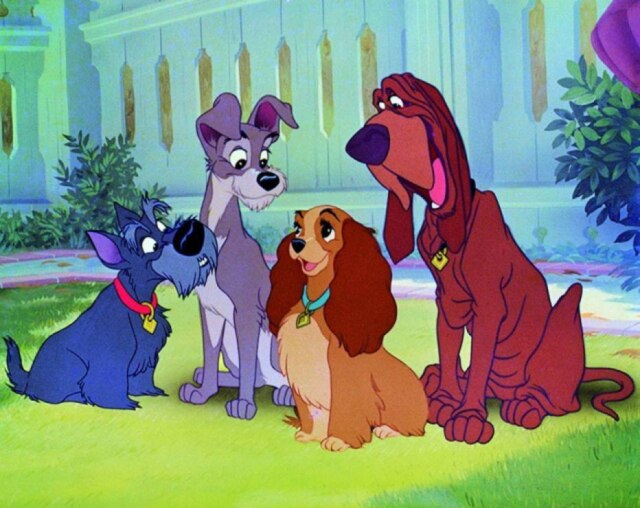 Divulgação / © Walt Disney Studios 'A Dama e o Vagabundo' terá versão live-action do filme.