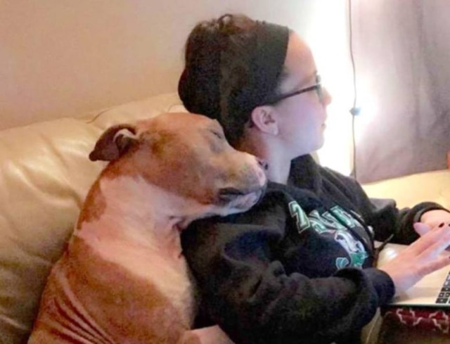 https://www.facebook.com/russ.acctphilly/?pnref=story Kayla adotou Russ em um abrigo na Filadélfia