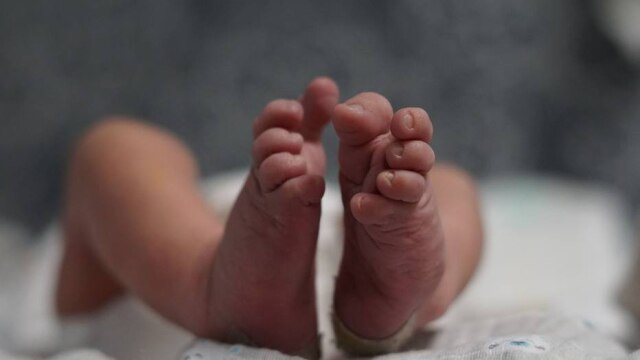 Pixabay/Mylene2401 No Brasil, de acordo com o Ministério da Saúde, 340 mil bebês nascem prematuros no País